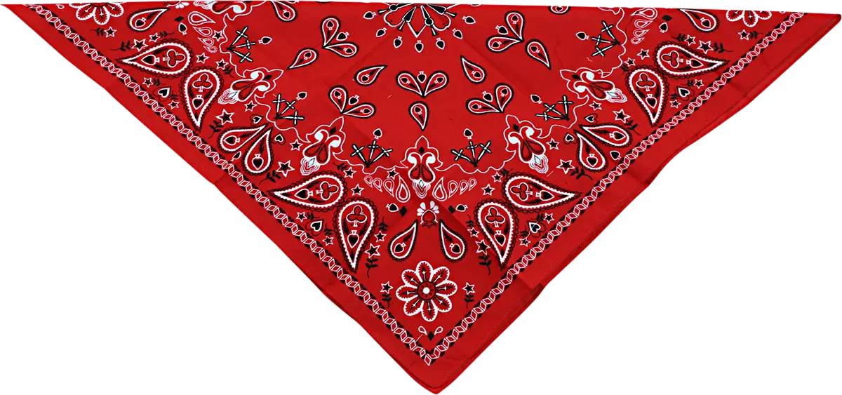 Zan Headgear Cotton Paisley Bandana 22" x 22"