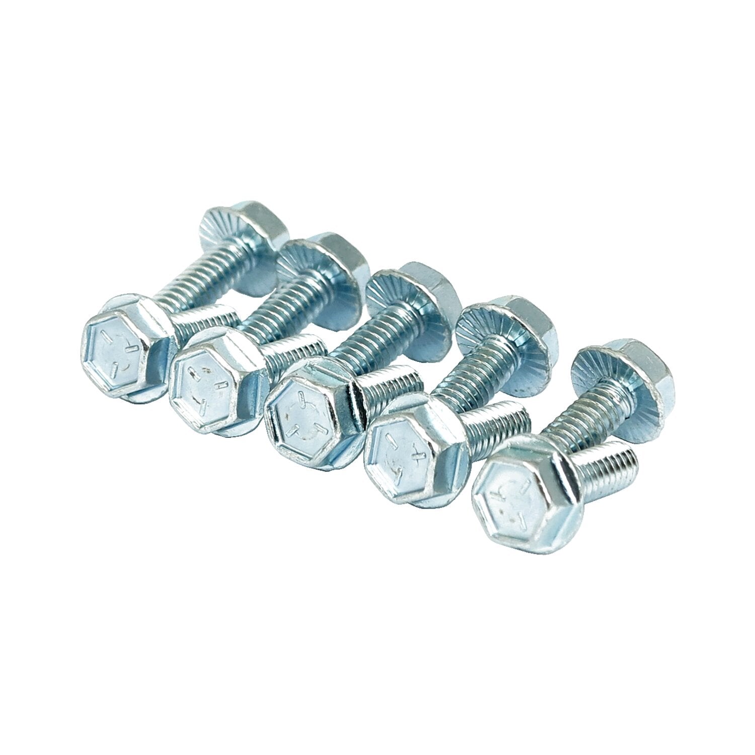 MCS Flanged screw