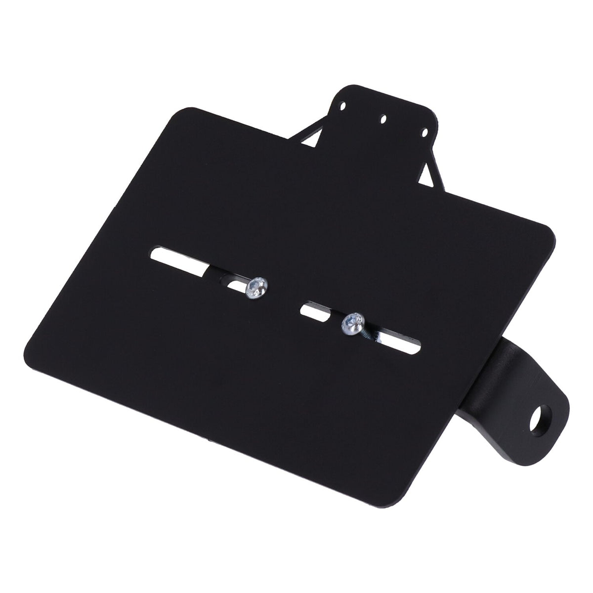 Westland Customs side mount license plate bracket France