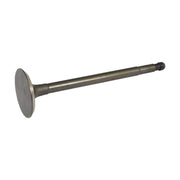 Samwel Flathead Intake valve stainless