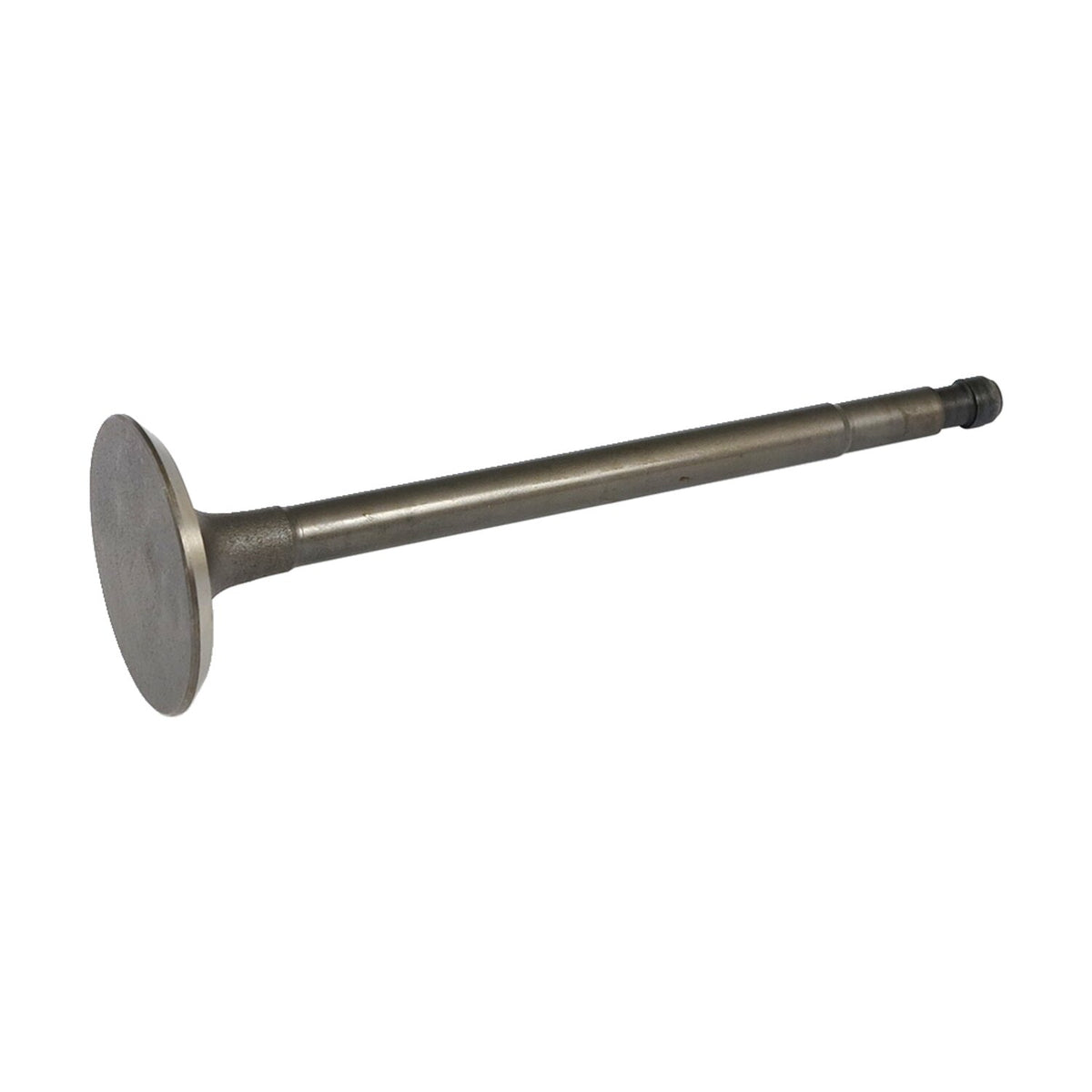 Samwel Flathead Intake valve stainless