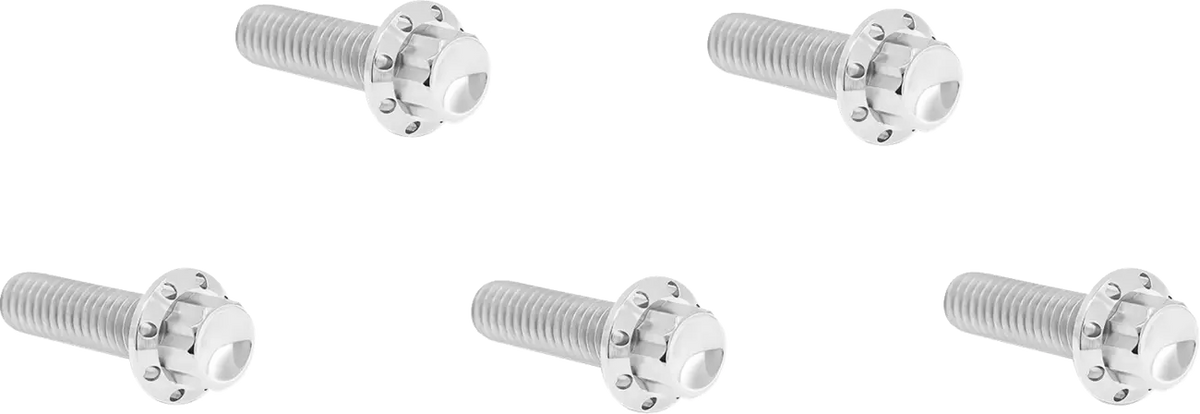 Arlen Ness Titanium 12-Point M8 Derby Cover Bolt Kit Polish