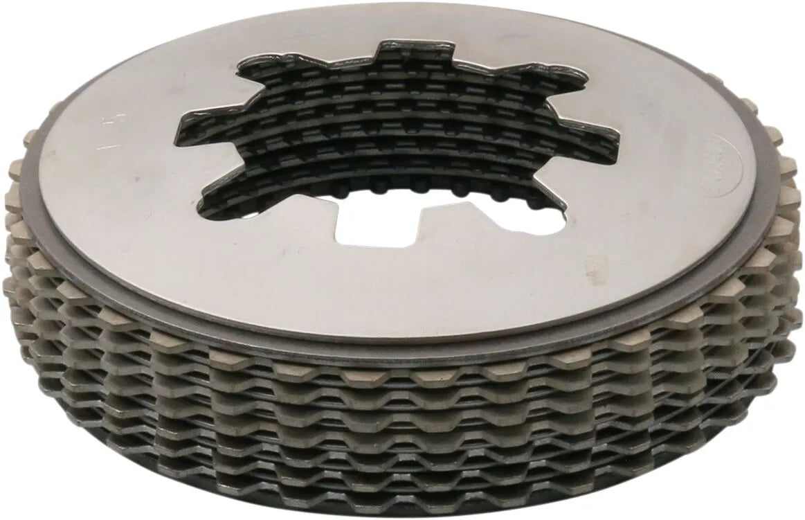 Belt Drives Ltd. Replacement Clutch Kit For Rivera Primo