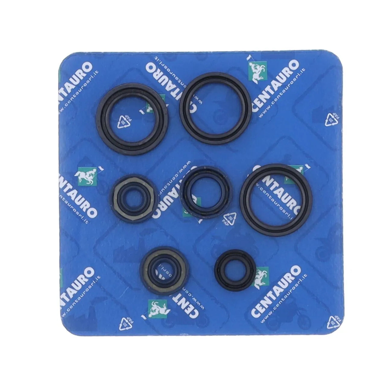 Centauro Fork Oil Seal Kit