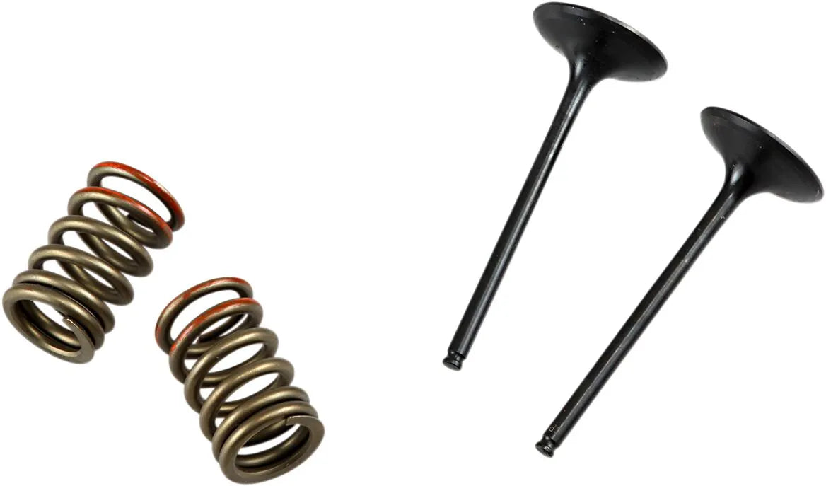 Prox Valve And Spring Kit - Steel, Nitrided