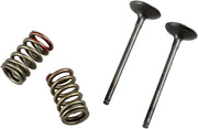 Prox Valve And Spring Kit