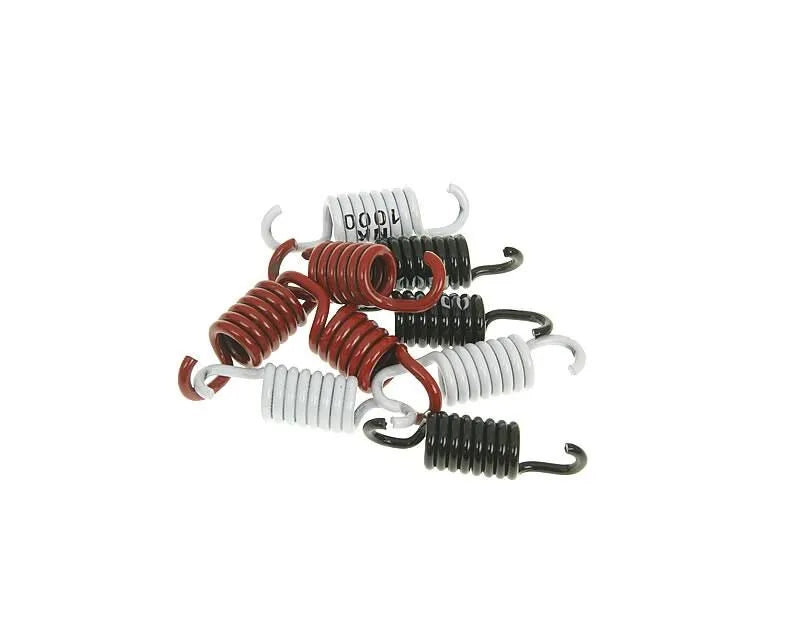 Naraku Clutch Spring Set