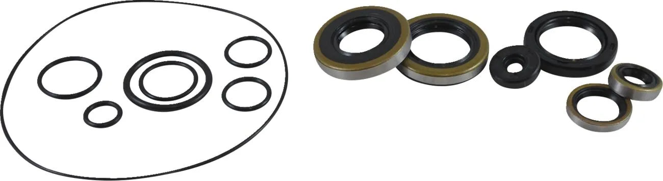 Vintco Oil Seal Kit for Engine Lower End