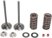 Moose Offroad Intake Valve And Spring Kit