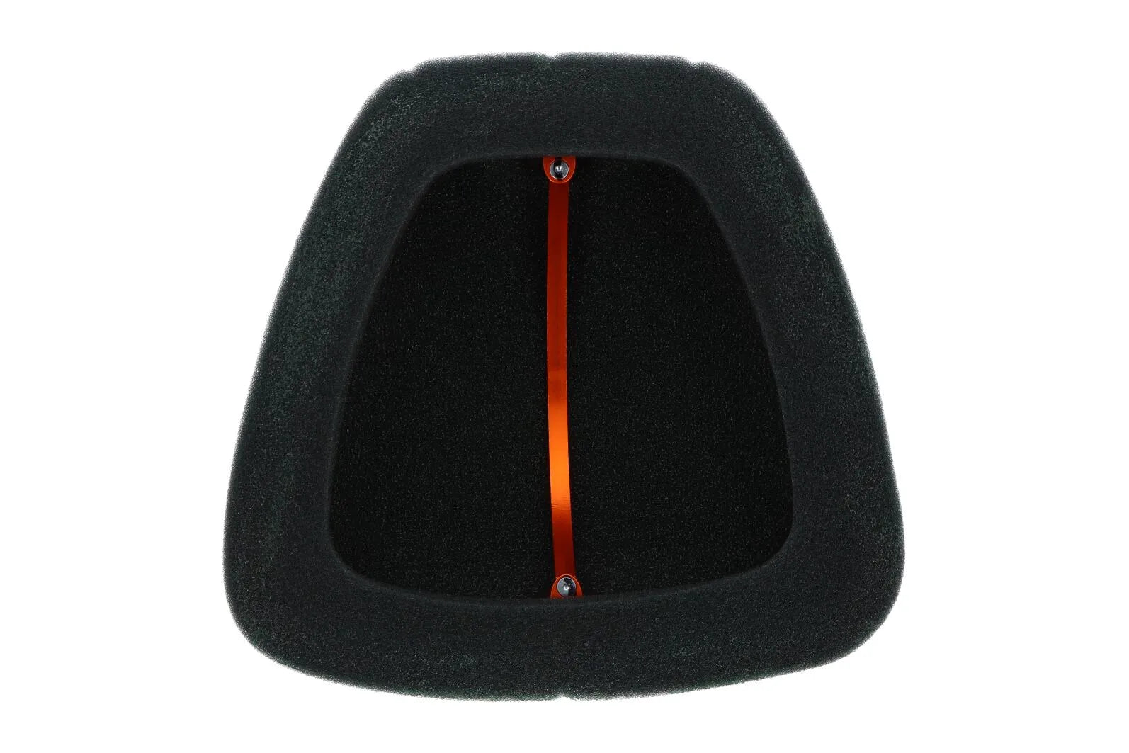 Twin Air Air Filter