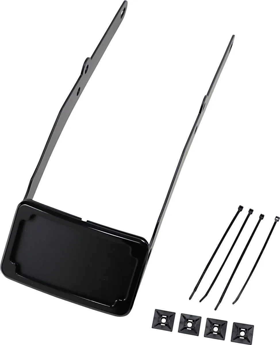 Cycle Visions Curved License Mount With Frame