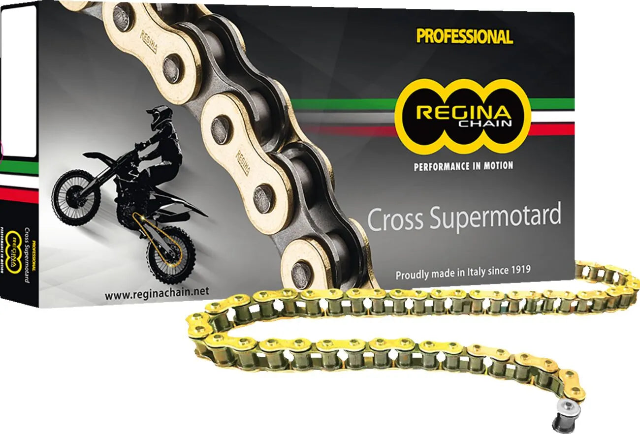 Regina 420 Rh2 Series Chain - High-performance Drive Chain