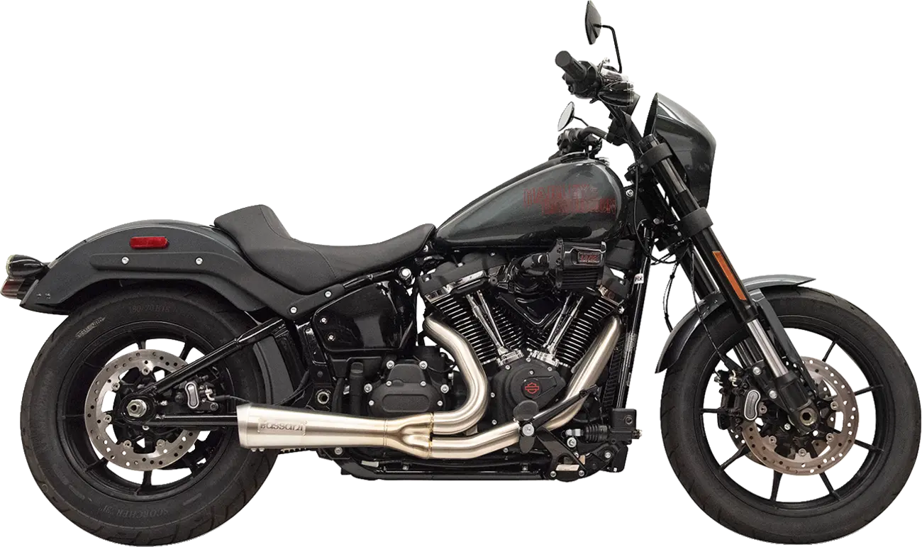 Bassani Xhaust The Ripper 2-into-1 Exhaust For Softail