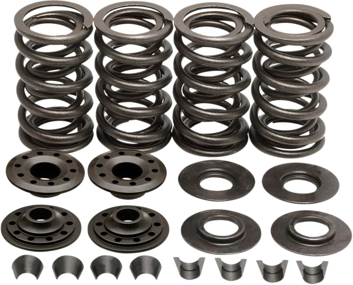 Kibblewhite Racing Valve Spring Kit .600"