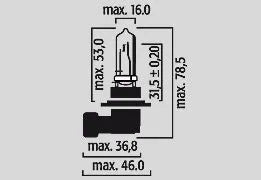 Flosser Halogen Headlight Bulbs