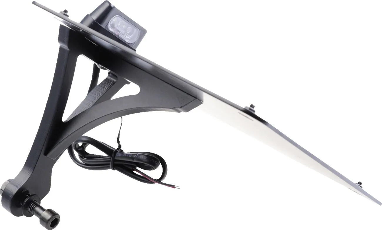 Cult Werk License Plate Holder With Led Lighting