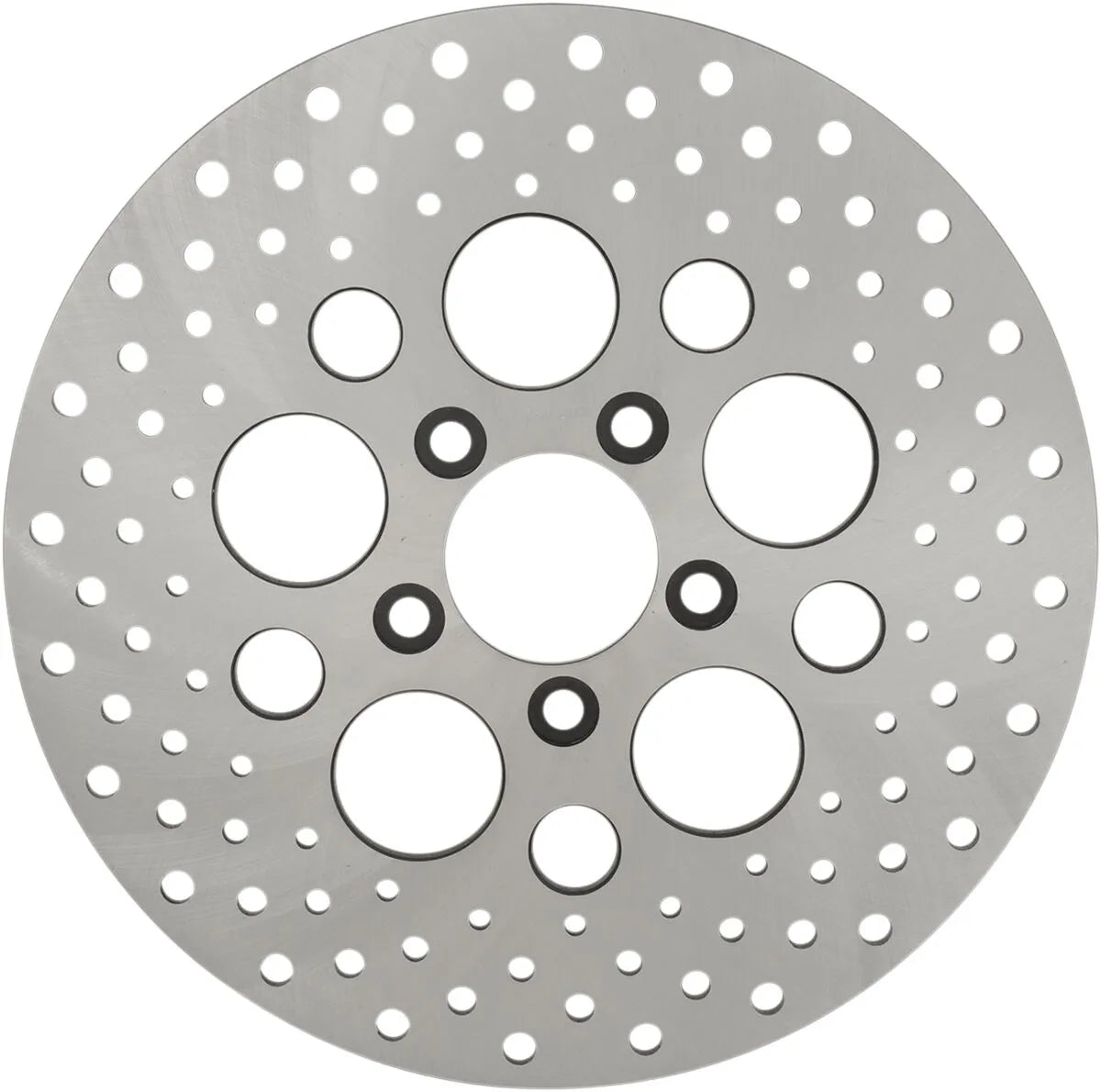 Drag Specialties Stainless Steel Drilled Brake Rotor - Rear