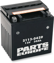 Parts Europe Agm Lead Acid Battery 30ah