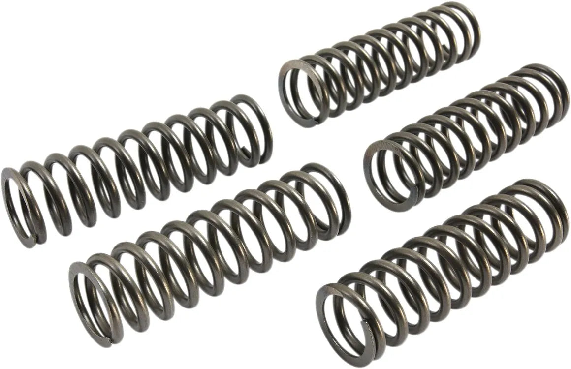 Ebc Csk Clutch Spring Set