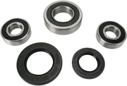 PIVOT WORKS Wheel Bearing and Seal Kit for Rear