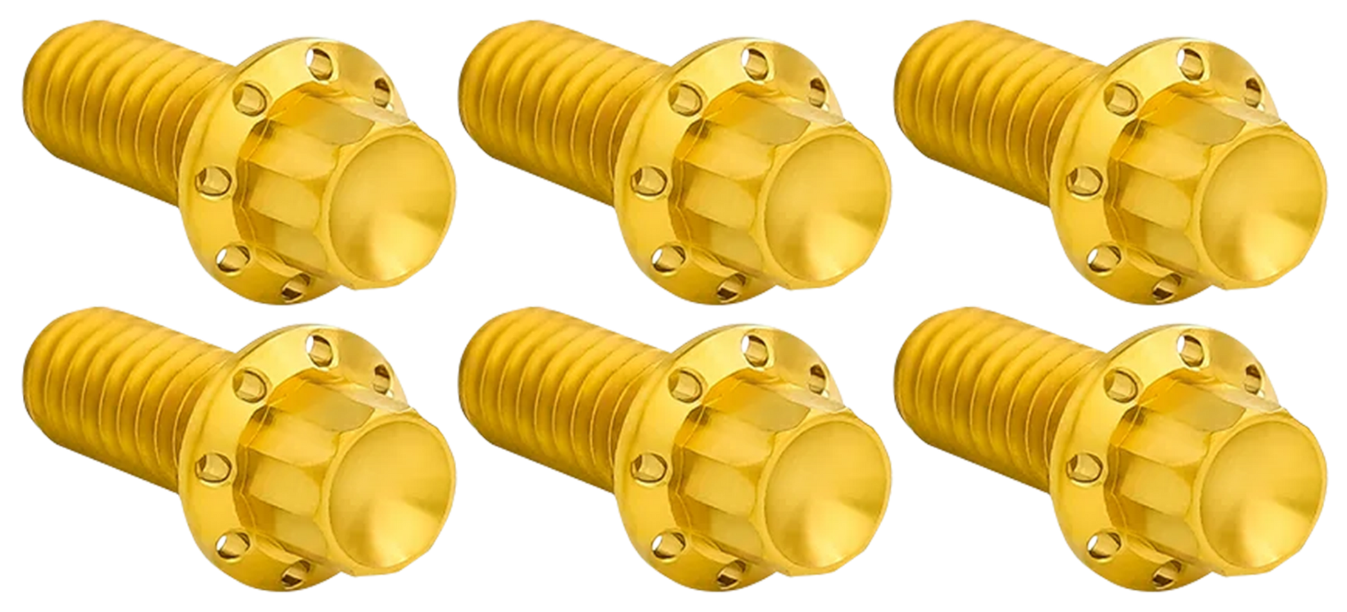 Arlen Ness Derby Cover Titanium 12-POINT Bolt Kits – Hardware