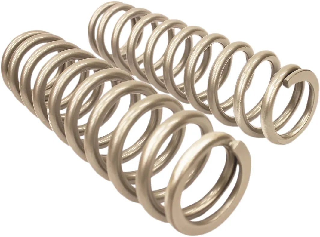 High Lifter Rear Shock Springs