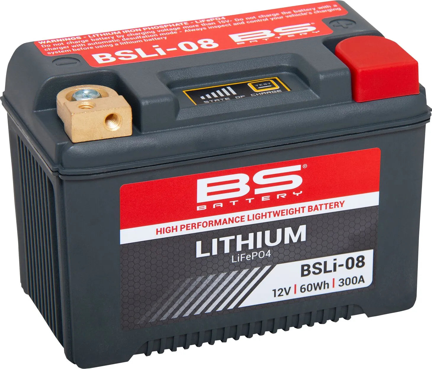 Bs Battery Lithium Lifepo4 Battery