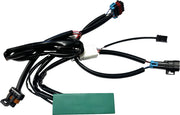 Custom Dynamics Smart Triple Play Module