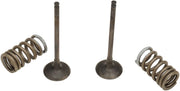 Prox Valve And Spring Kit - Steel, Nitrided