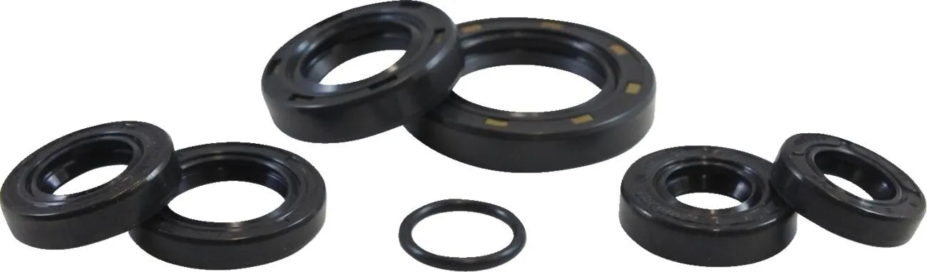 Vintco Oil Seal Kit for Motorcycle Engine Rebuilds