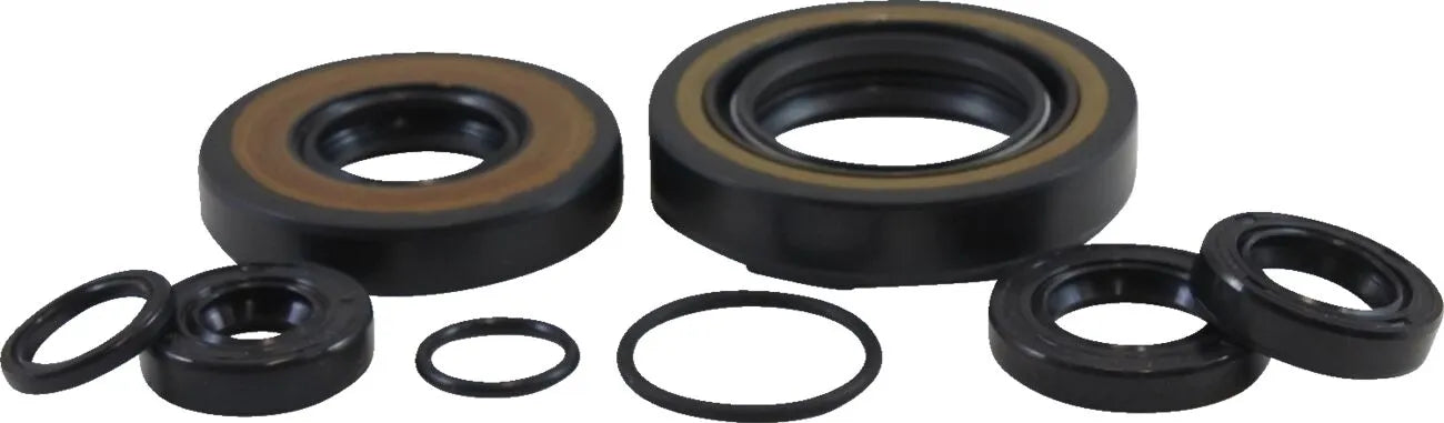 Vintco Oil Seal Kit for Engine Lower End