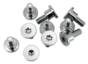 Colony Brake Rotor Screws for V-Rod – Hardware