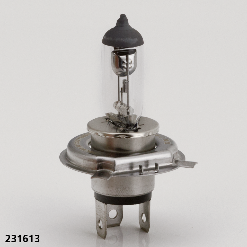 Hella H4 Bulb for Halogen Headlight – Electric & Light