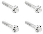 Arlen Ness Titanium 12-POINT Front Fender Bolts – Hardware