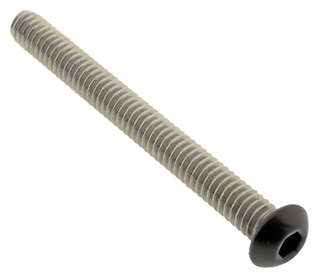 Screws4Bikes Black Stainless Steel Ecm Screws – Intake