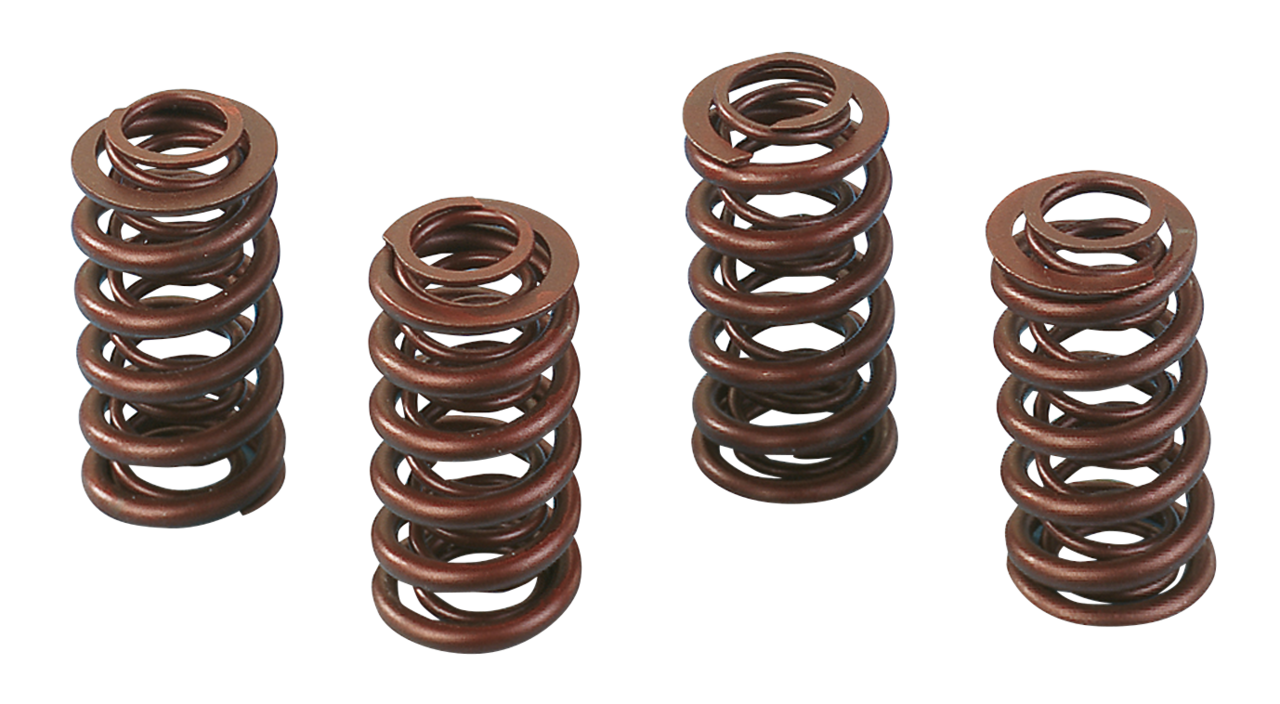 Andrews Valve Spring Sets – Engine