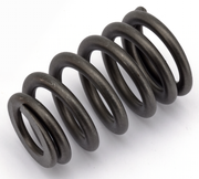 Zodiac Stock Replacement Valve Spring Sets – Engine