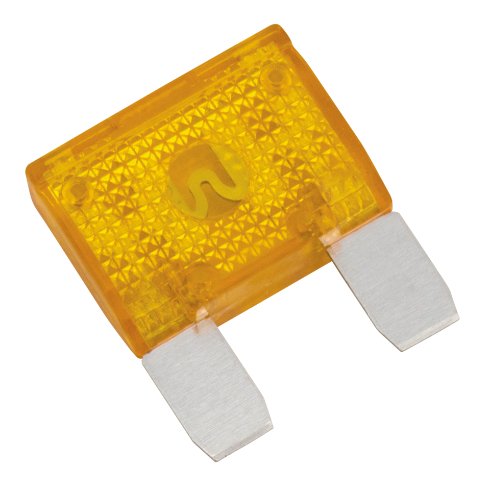 Namz Maxi Fuse – Electric & Light
