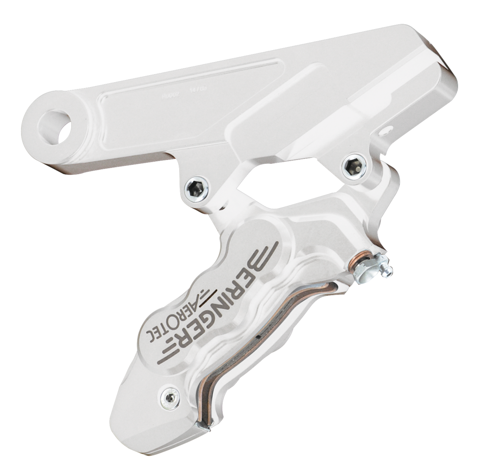 Beringer Brake System