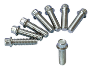 Colony Lifter Base & Tappet Block Screws – Hardware