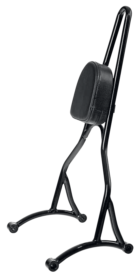 Zodiac Bolt-On Tall Sissy Bars with Pad – Seat