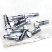 Midwest Acorn Nut Company Chrome Plated Torx Head Screws Assortment – Hardware