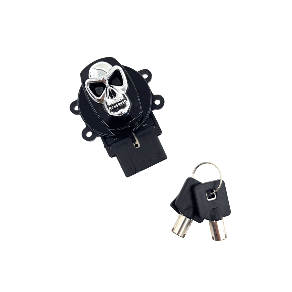Zodiac Skull Ignition Switches – Electric & Light