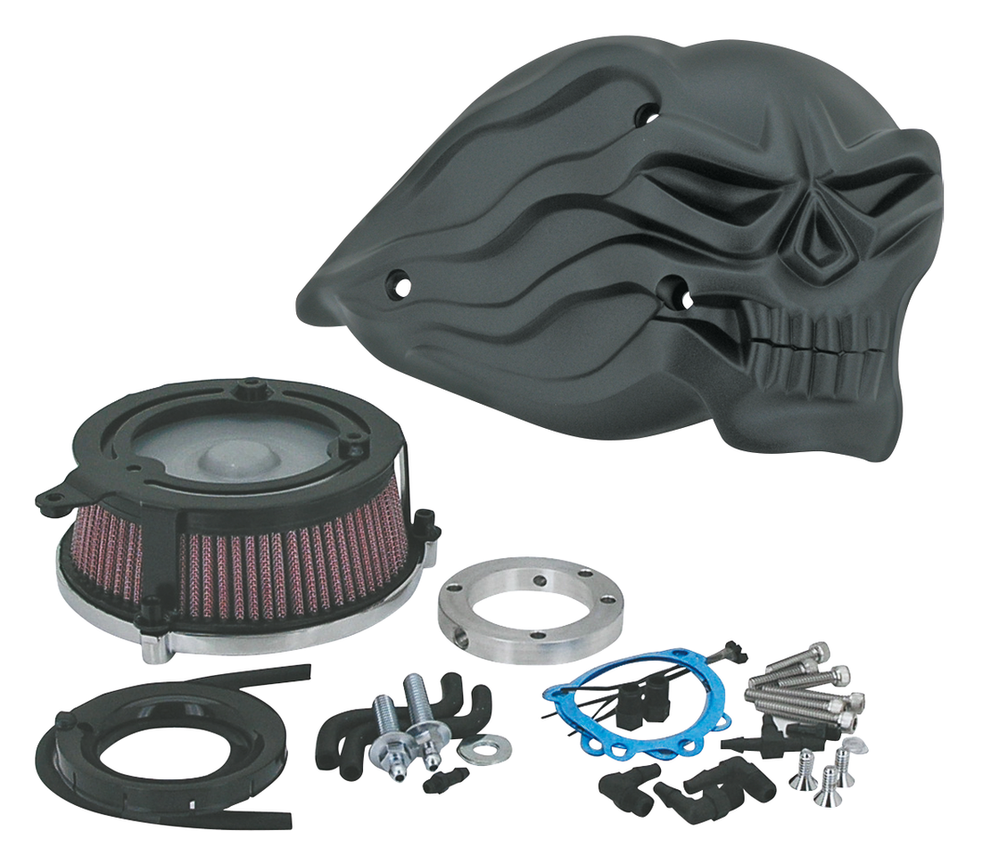 Zodiac Flying Skull High Performance Air Cleaners – Intake