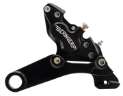 Beringer Brake System