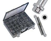 Midwest Acorn Nut Company Chrome Plated 12 Point Bolt Assortment Tray – Hardware