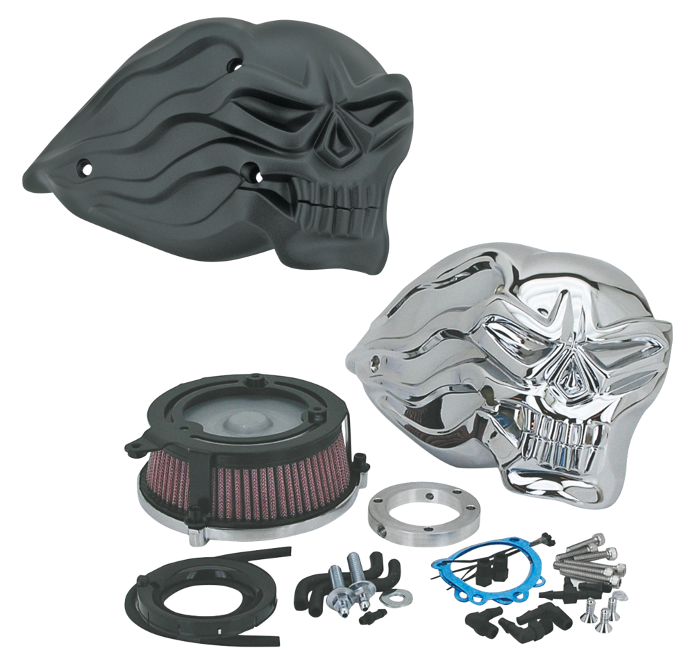 Zodiac Flying Skull High Performance Air Cleaners – Intake